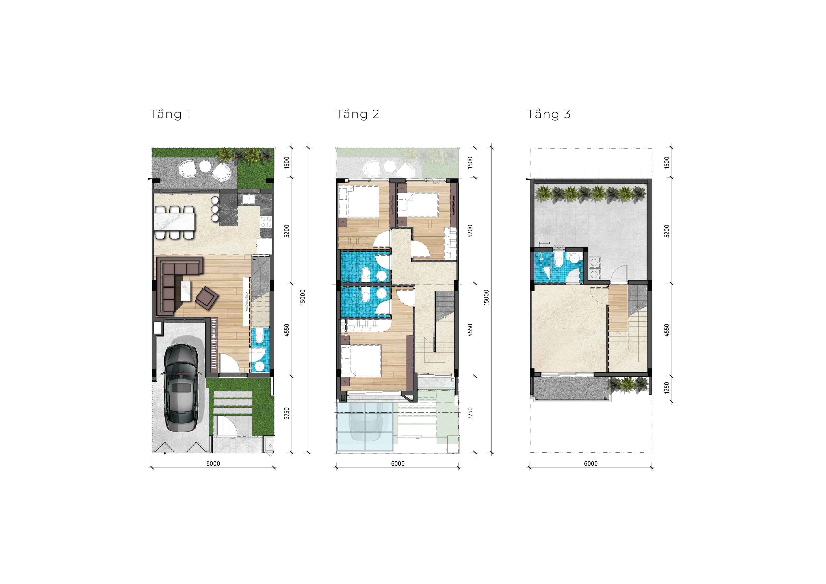 Nhà phố liền kề 2