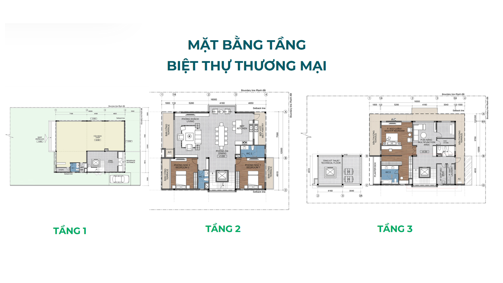 Mặt bằng